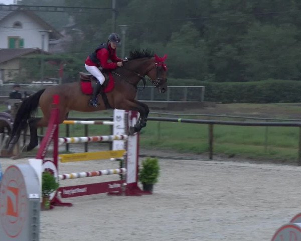 Reitturnier Dompierre 2022