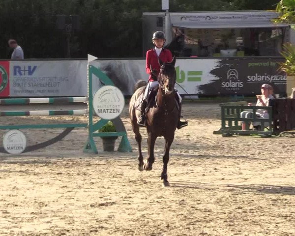 Reitturnier Schnarup-Thumby 2022