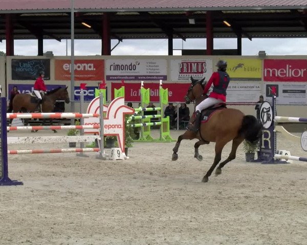 Reitturnier Dompierre 2022