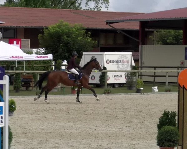 Reitturnier Dompierre 2022
