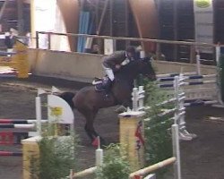 horse Lacoretto 2 (Oldenburg, 1998, from Levernois)