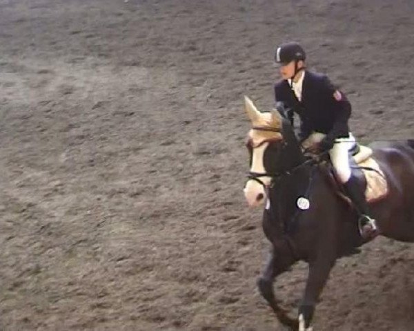 broodmare Pagena 56 (Rhinelander, 1997, from Pessoa)