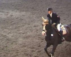 broodmare Pagena 56 (Rhinelander, 1997, from Pessoa)