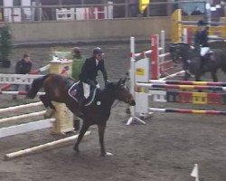 broodmare Clay's Jalisca (Oldenburg, 2004, from Clay)