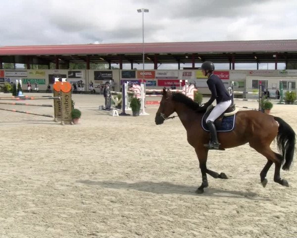 Reitturnier Dompierre 2022