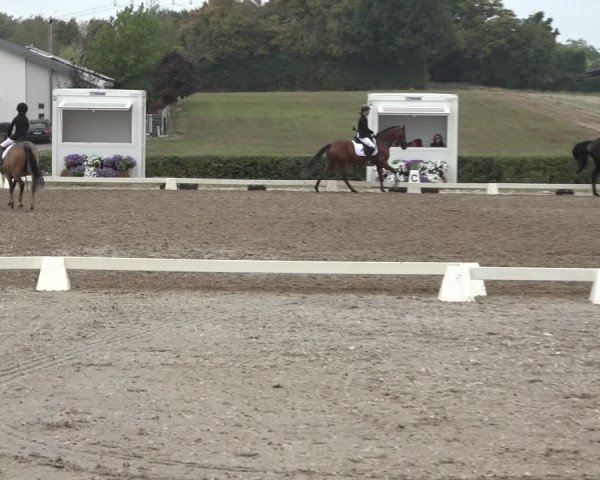 Heinsberg Classics 2022