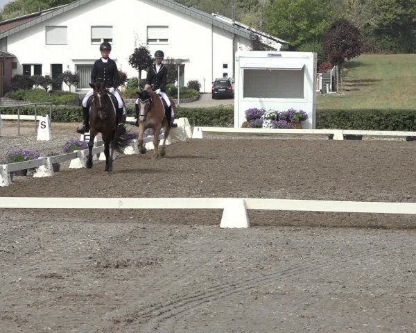 Heinsberg Classics 2022
