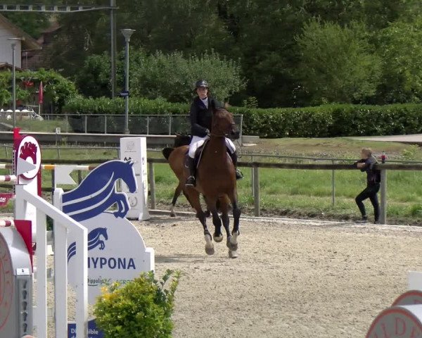 Reitturnier Dompierre 2022