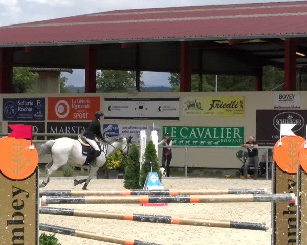 Reitturnier Dompierre 2022