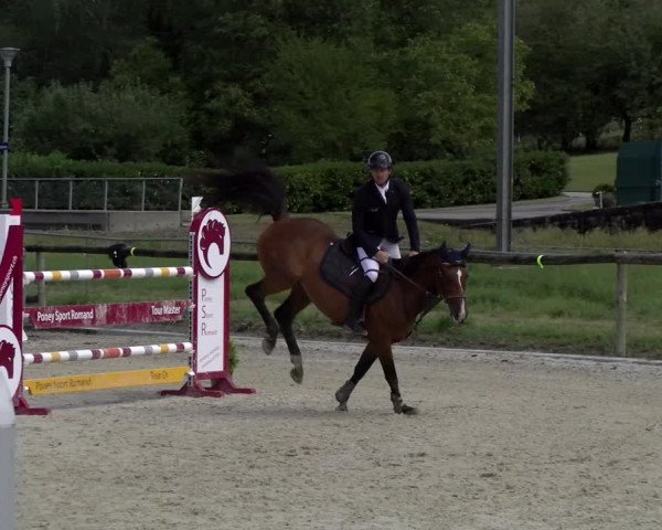 Reitturnier Dompierre 2022