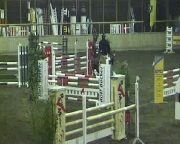 jumper Lucky 220 (Belgian Warmblood, 1988, from Nativio xx)