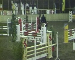 jumper Lucky 220 (Belgian Warmblood, 1988, from Nativio xx)