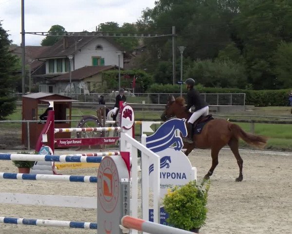 Reitturnier Dompierre 2022