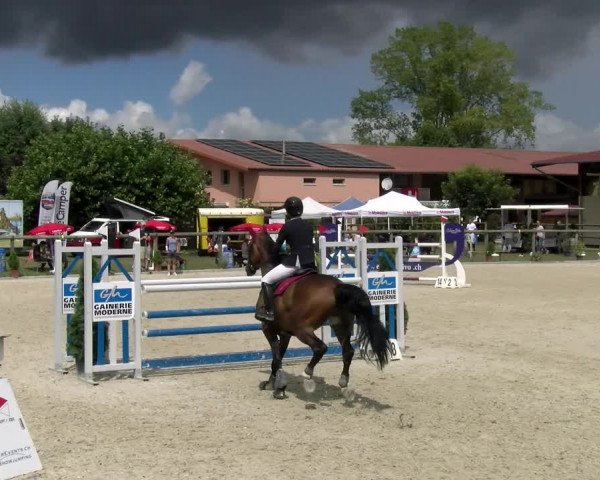 Reitturnier Dompierre 2022