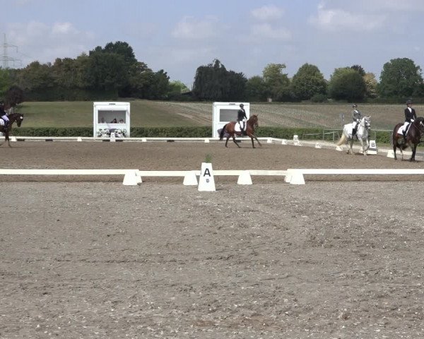 Heinsberg Classics 2022