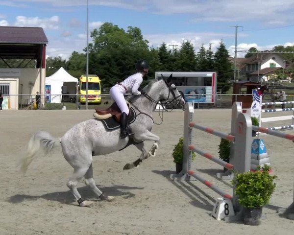 Reitturnier Dompierre 2022