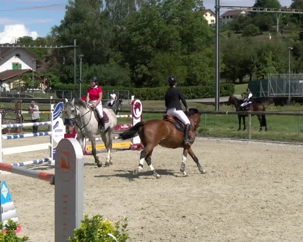 Reitturnier Dompierre 2022