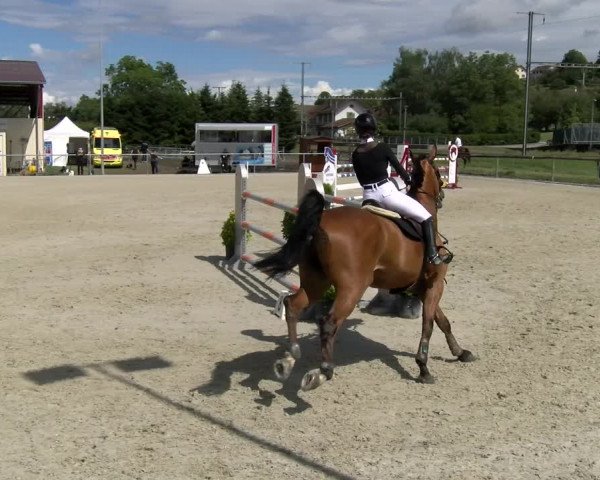 Reitturnier Dompierre 2022