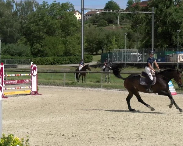 Reitturnier Dompierre 2022