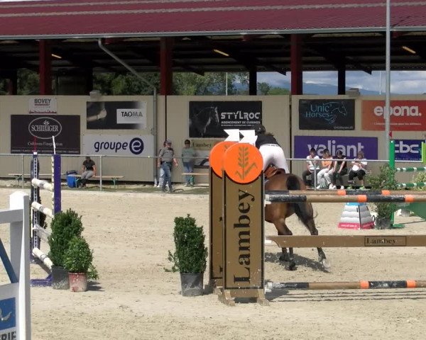 Reitturnier Dompierre 2022