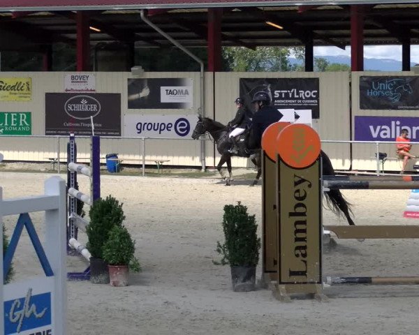 Reitturnier Dompierre 2022