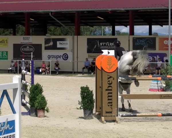 Reitturnier Dompierre 2022
