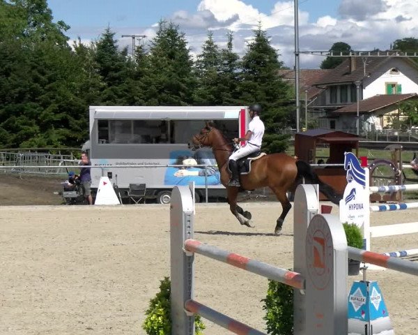 Reitturnier Dompierre 2022