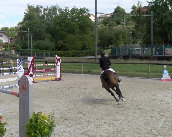 Reitturnier Dompierre 2022