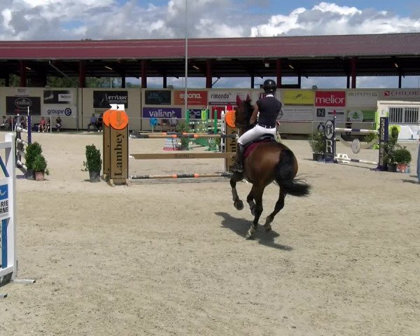 Reitturnier Dompierre 2022