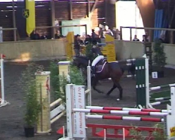 broodmare Clay's Judith (Westphalian, 2004, from Clay)