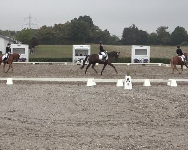 Heinsberg Classics 2022