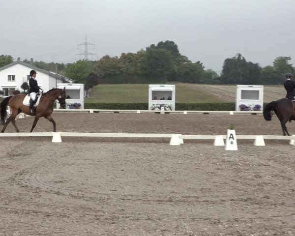 Heinsberg Classics 2022