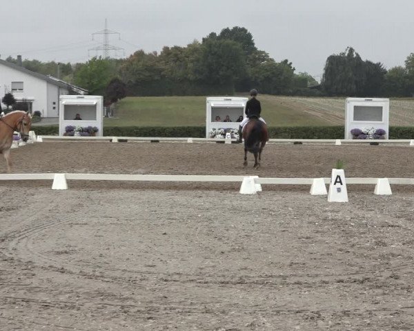 Heinsberg Classics 2022