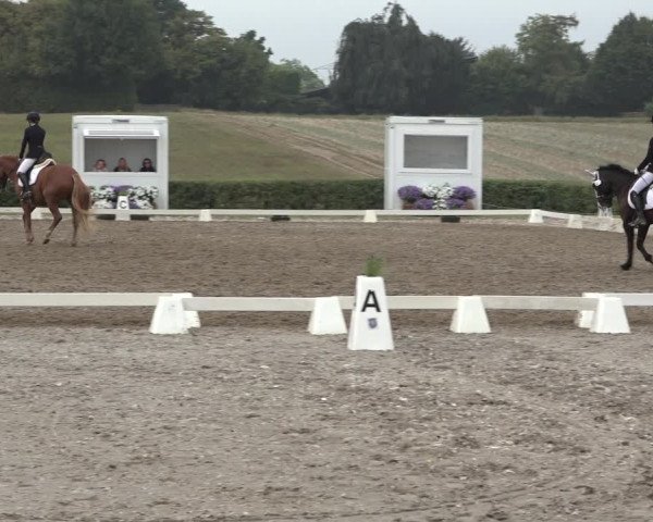 Heinsberg Classics 2022