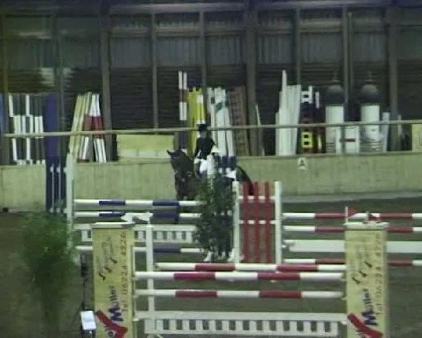 jumper Dublin R (Westphalian, 1997, from Dunhill H)