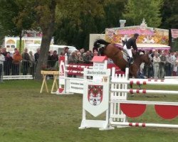 broodmare Cora 462 (Saxony-Anhaltiner, 2002, from Cardenio)