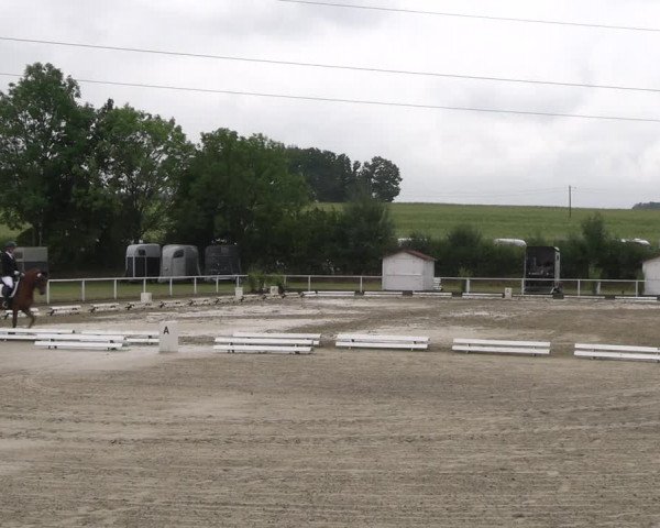 Reitturnier Menden 2022
