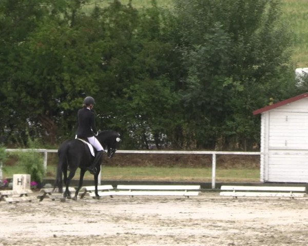 Reitturnier Menden 2022