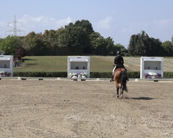 Heinsberg Classics 2022
