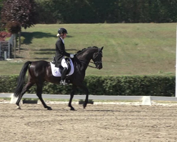 Heinsberg Classics 2022