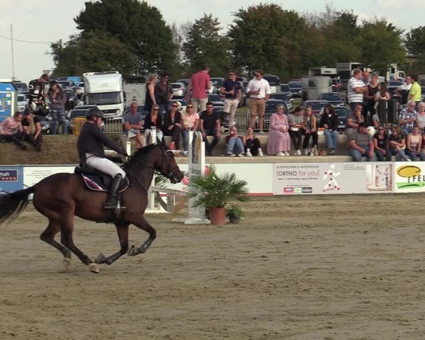 Heinsberg Classics 2022