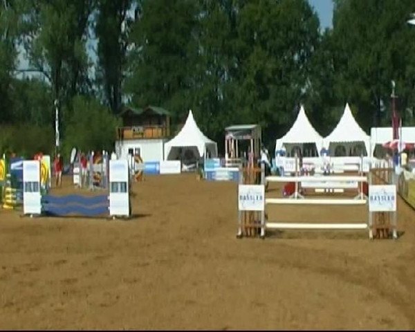 jumper Leon 224 (Bavarian, 1996, from Leopardos)