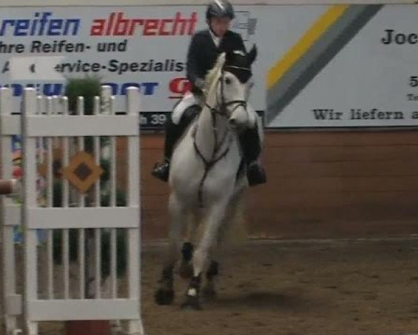 jumper Cleo B (Westphalian, 2000, from Coronino)