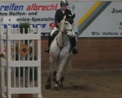 Springpferd Cleo B (Westfale, 2000, von Coronino)