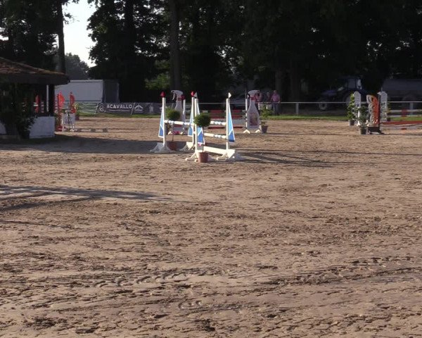 Reitturnier Datteln 2022