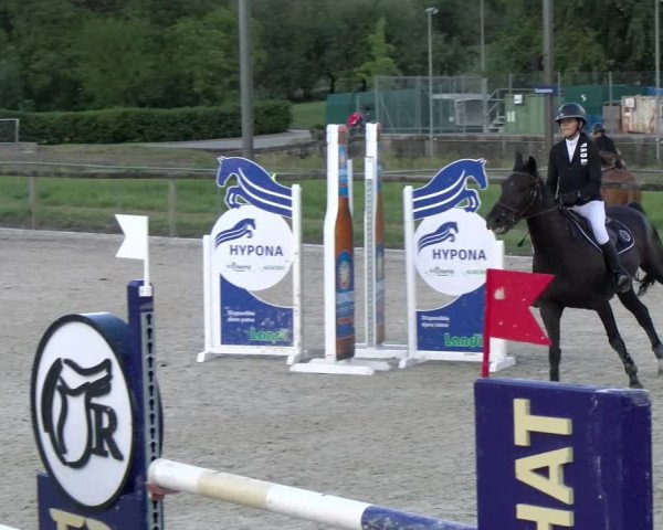 Reitturnier Dompierre 2022