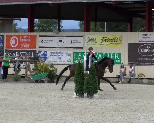 Reitturnier Dompierre 2022