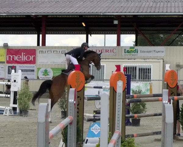 Reitturnier Dompierre 2022
