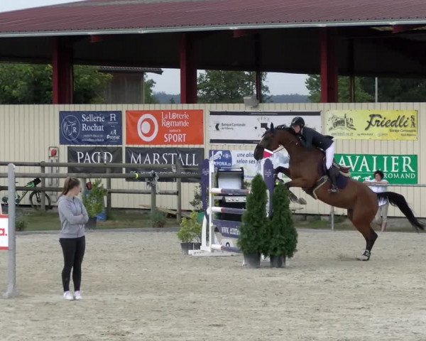 Reitturnier Dompierre 2022