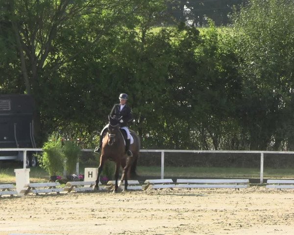 Reitturnier Menden 2022